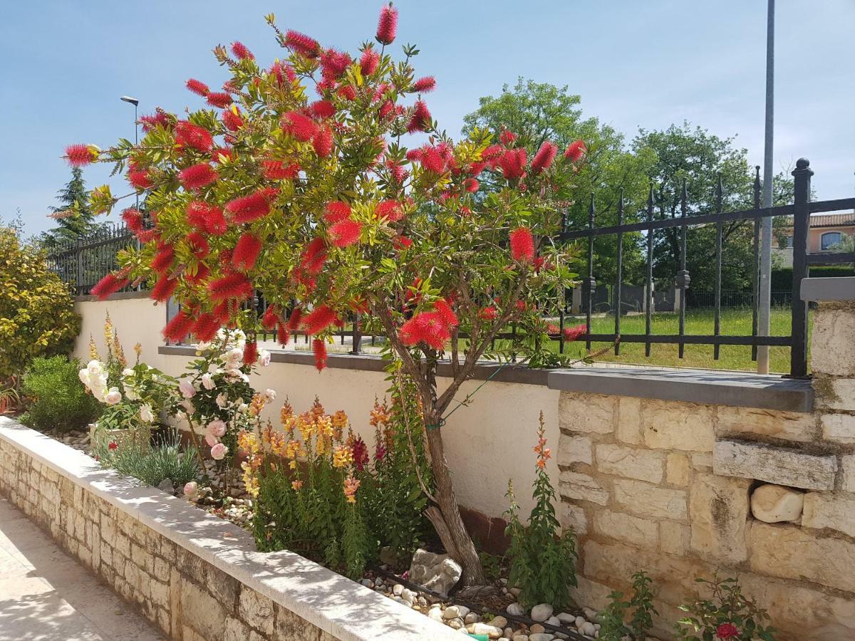 Rooms Siesta Poreč Exterior foto